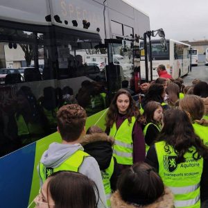 Bus