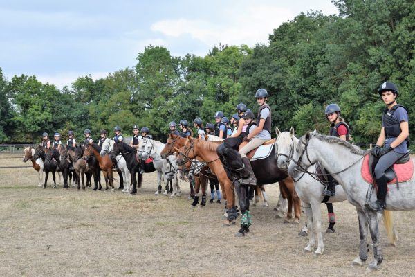 equitation